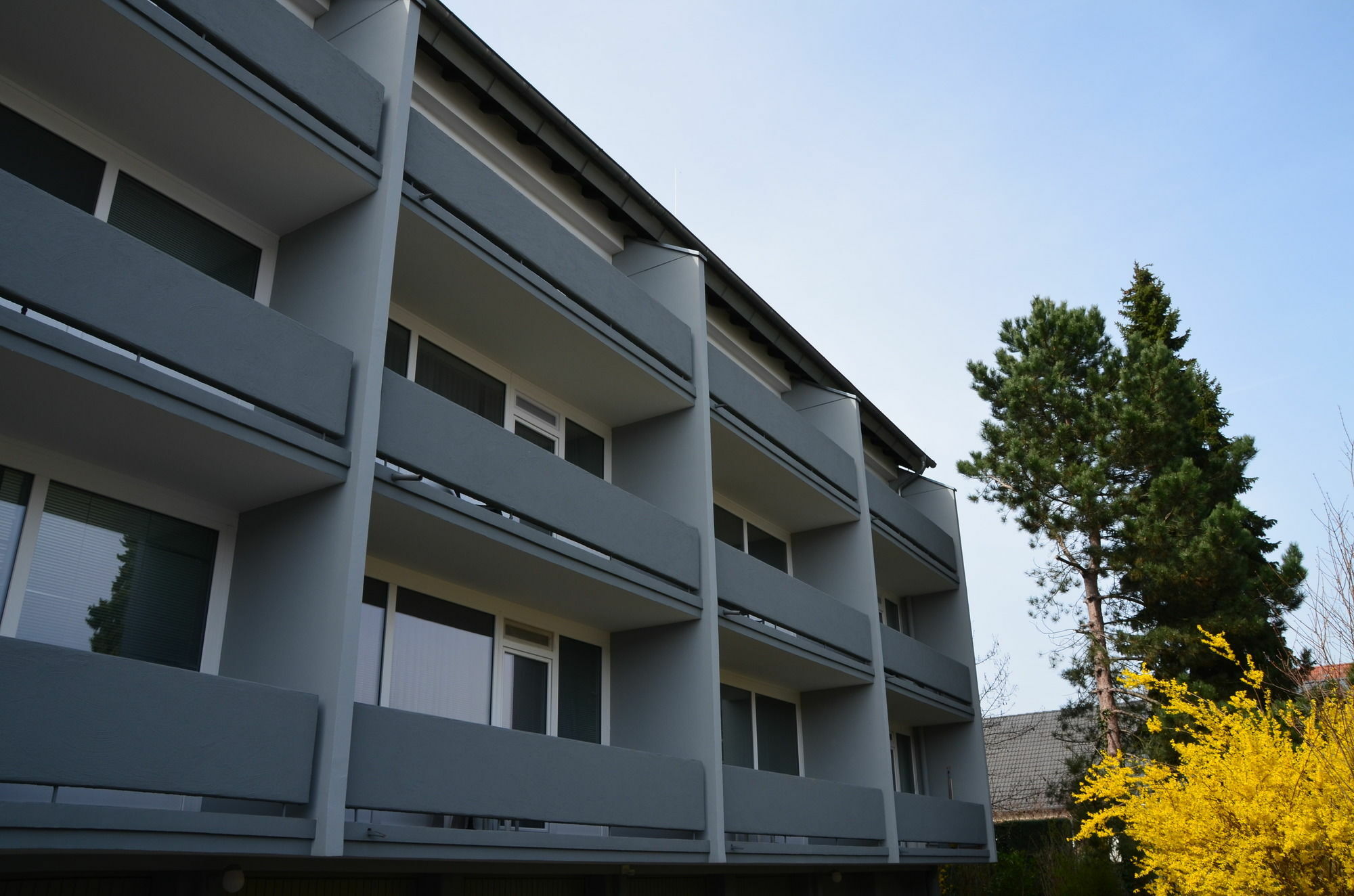Neu Heidelberg - Guesthouse & Apartments Kültér fotó