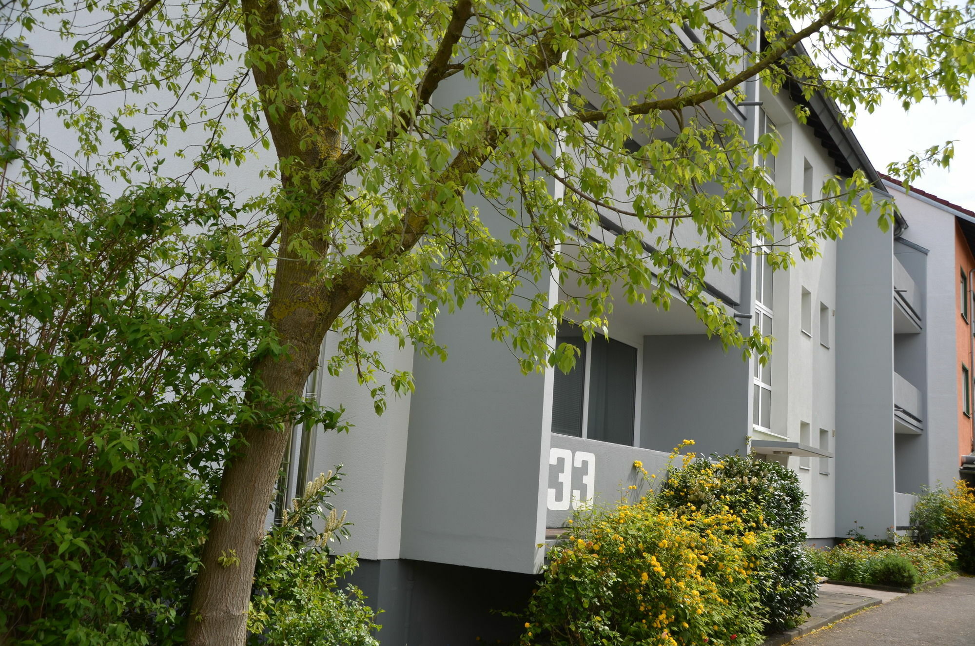 Neu Heidelberg - Guesthouse & Apartments Kültér fotó