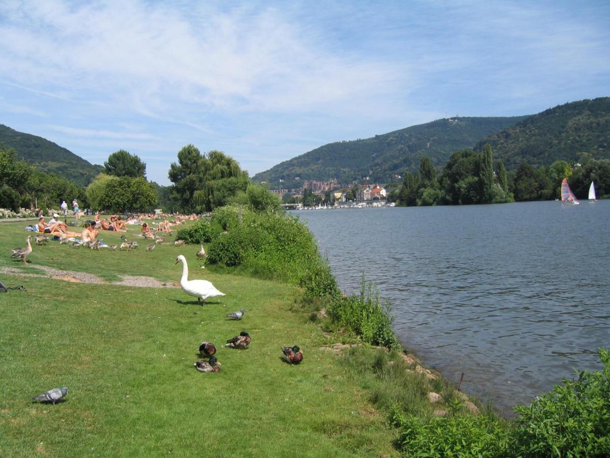 Neu Heidelberg - Guesthouse & Apartments Kültér fotó